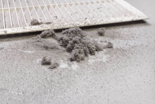 Best Professional Duct Cleaning Services  in Roy, UT