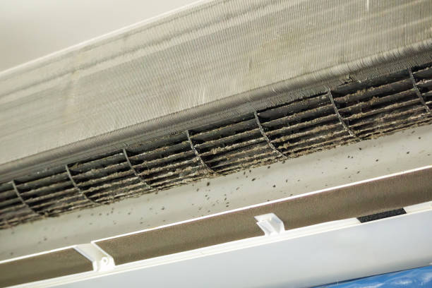 Best Emergency Air Duct Cleaning  in Roy, UT