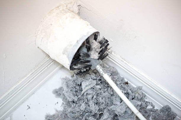 Best Best Air Duct Cleaning Company  in Roy, UT